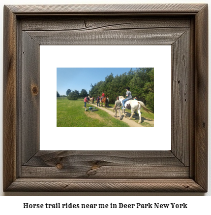 horse trail rides near me in Deer Park, New York